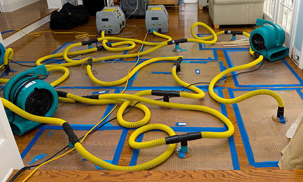 Professional Basement Flood Cleanup technician working in Salem, MA